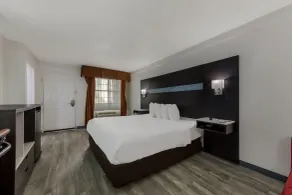 Quality Inn & Suites Airport - Chambre