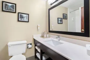 Comfort Suites near Robins Air Force Base - Chambre