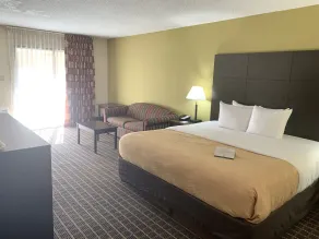 Quality Inn & Suites Pensacola Bayview - Room