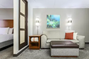 Hyatt Place Fort Worth/Hurst - Værelse
