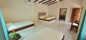 Tarcoles Birding Lodge - Chambre