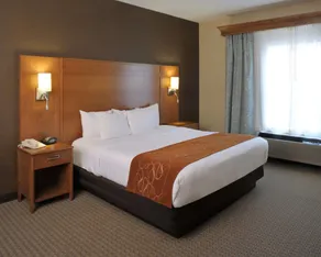 Comfort Suites Hotel and Conference Center - Chambre