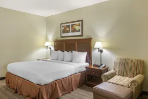 Country Inn & Suites by Radisson, Atlanta Downtown - Habitación