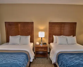Comfort Inn Apalachin - Binghamton W Route 17 - Chambre