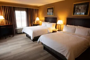 Holiday Inn Express & Suites - Tuscaloosa-University by IHG - Chambre