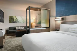 SpringHill Suites Dallas DFW Airport South/CentrePort - Chambre