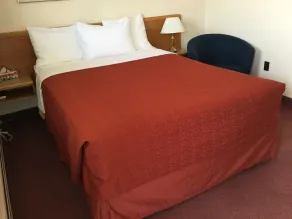 Trunk Road Motel - Chambre