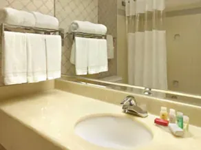 Ramada by Wyndham Hawthorne/LAX - Salle de bain