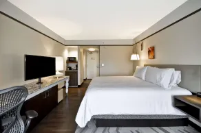 Hilton Garden Inn Detroit Troy - Rum