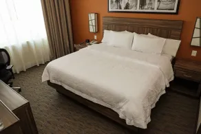 Hampton Inn by Hilton Irapuato - Room