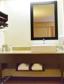 Red Roof Inn PLUS+ University at Buffalo - Amherst - Salle de bain