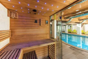 Wellness Hotel Bulgaria - Piscina