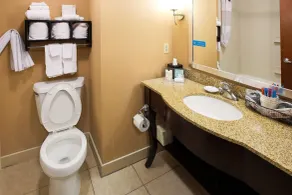 Hampton Inn Elizabethtown KY - Salle de bain