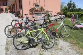 Lejlighed i Langhe (unesco 2014 World Heritage Site) - Cykling