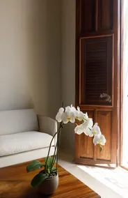 Las Lupitas Hotel Boutique - Chambre