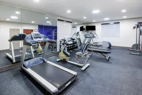 Holiday Inn Express Harvey-Marrero by IHG - Salle de remise en forme