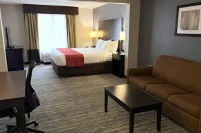 Comfort Inn & Suites Tampa North I-75 - Værelse