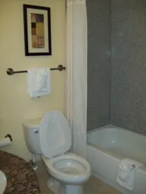 Magnolia Inn and Suites Pooler - Salle de bain
