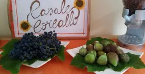 B&B Casale Coreallo Spotorno - Restaurant
