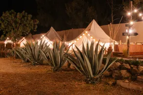 Nomada Glamping & Aguas Termales - San Miguel de Allende X NANTLI LIVING - Recepción