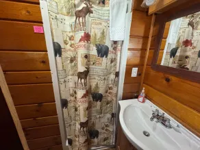 Blue Spruce Motel - Bathroom