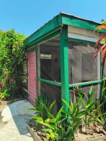 Garden Lodge Hotel - Room