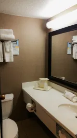 Quality Inn Toledo Westgate - Salle de bain