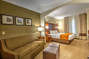 Comfort Suites Tomball Medical Center - Chambre