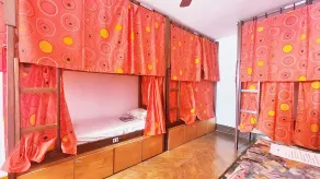 Red Monkey Hostel: Barra Funda - Chambre