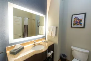 La Quinta by Wyndham Houston East at Normandy - Bathroom