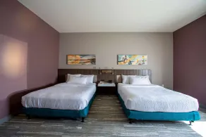 Hilton Garden Inn Rapid City - Chambre