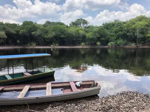 Curupira Amazon Lodge - Private Jungle Tour, River Tour or Great Adventure TOUR INCLUDED ONLY IN DELUXE ROOMS - Habitación
