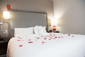 Hampton Inn Toledo/Oregon - Chambre