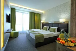 Nádas Tó Park Hotel - Zimmer
