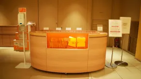 Hotel Universal Port Vita - Reception