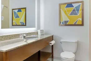 Comfort Inn & Suites Rapid City near Mt Rushmore - Bathroom