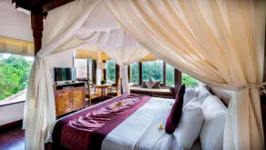 Natura Resort and Spa Ubud - View from room