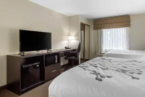Sleep Inn & Suites Allendale - Chambre