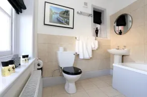 The Loopy Shrew - Room