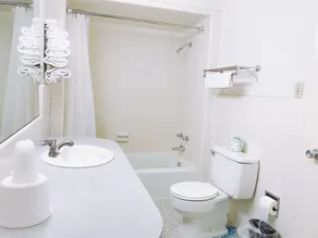 Appletree Inn - Salle de bain