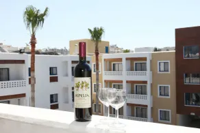 Kefalos Damon Hotel Apartments - Udsigt fra værelset