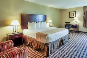 Days Inn & Suites by Wyndham Johnson City - Chambre