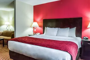 Comfort Suites Palm Bay - Melbourne - Habitación