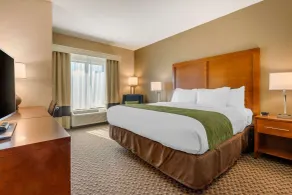 Comfort Inn & Suites Florence Center Area - Chambre