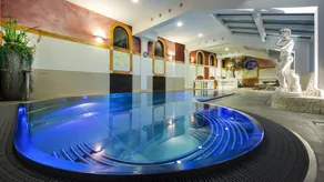 Hotel Zehnerkar & Hotel Obertauern - Piscina