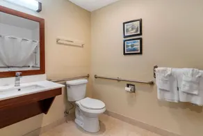 Comfort Inn & Suites South Hill I-85 - Salle de bain