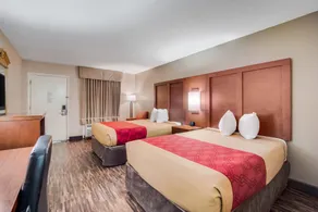 Econo Lodge Walterboro I-95 - Chambre