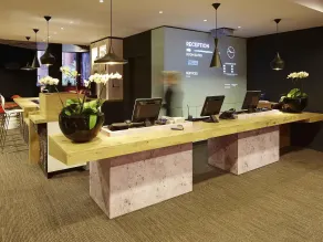 ibis Reading Centre - Recepción