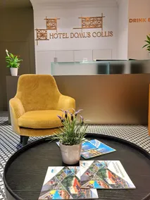 Hotel Domus Collis - Reception
