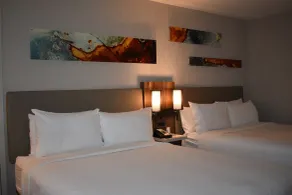 Chicago Marriott Oak Brook - Room